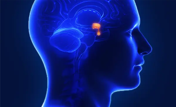 Explore more Acromegaly Resources