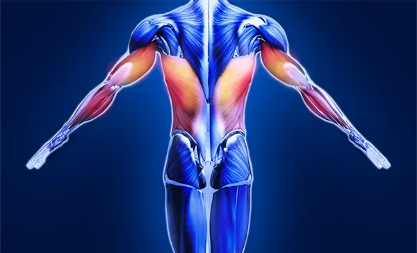 Explore more Adult Spasticity Patient Support