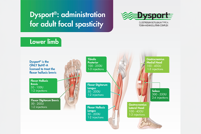 Dysport<sup>®</sup> administration guide for adult focal spasticity affecting the lower limbs