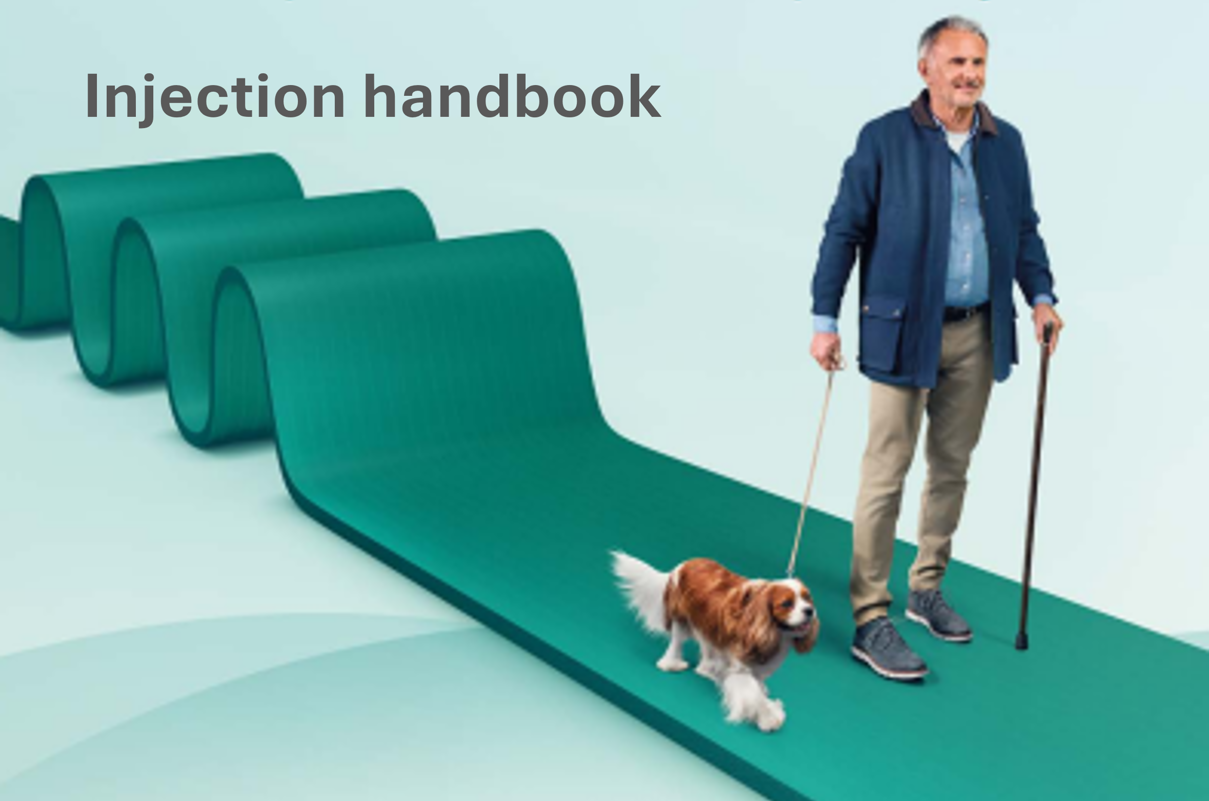 Injection Handbook – Adult Spasticity